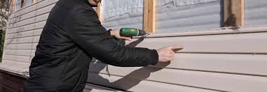 Best Historical Building Siding Restoration  in Springerville, AZ